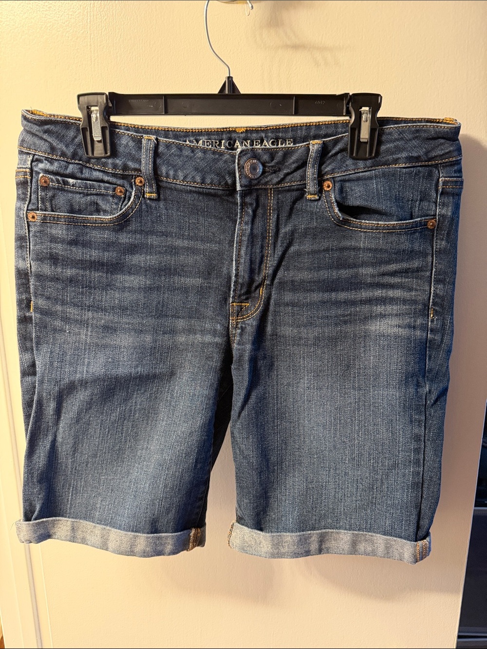 American Eagle Outfitters Light Blue Stretch Denim Shorts